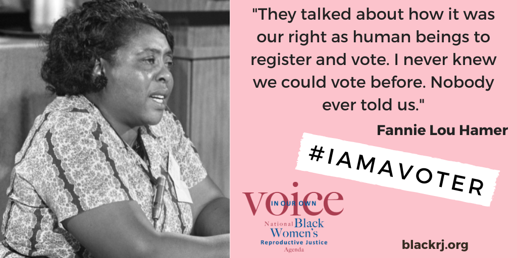 I am a voter: "They talked about how it was our right as human beings to register to vote. I never knew we could vote before. Nobody ever told us." —Fannie Lou Hamer