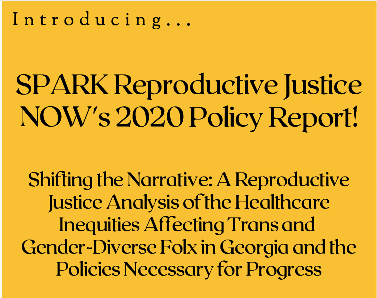 SPARK Reproductive Justice NOW's 2020 Policy Report!