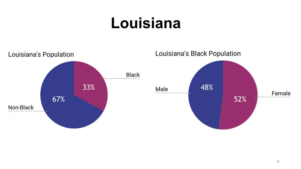 The Voices and Experiences of Black Women in Louisiana