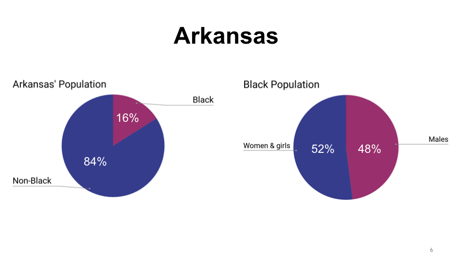 The Voices and Experiences of Black Women in Arkansas