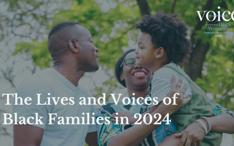 New Election Poll: The Lives And Voices Of Black Families In 2024
