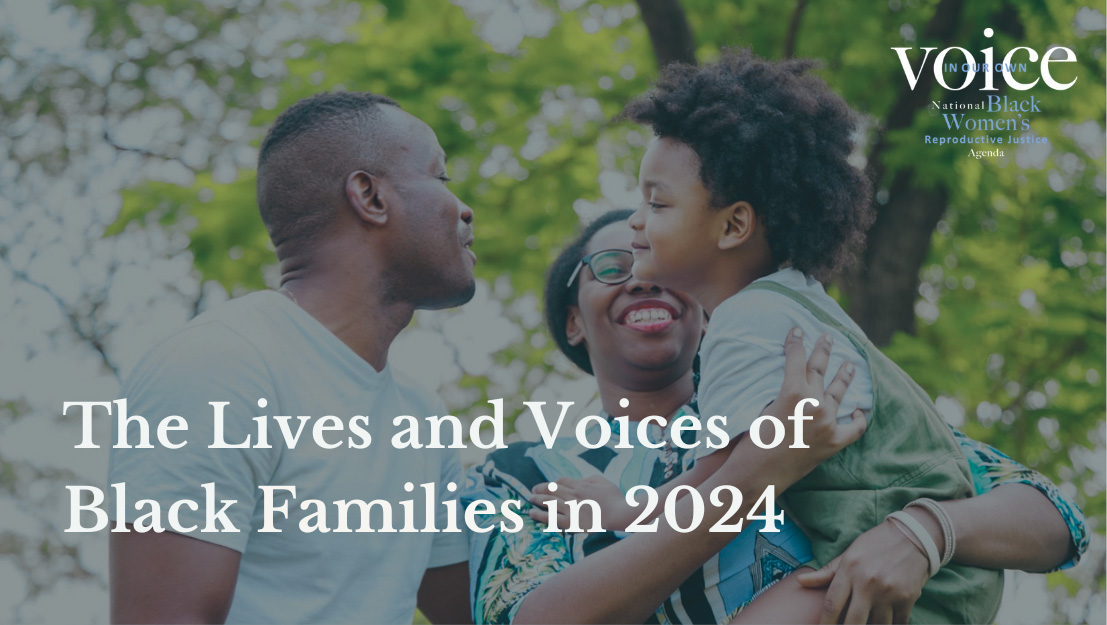 The Lives And Voices Of Black Families 2024 